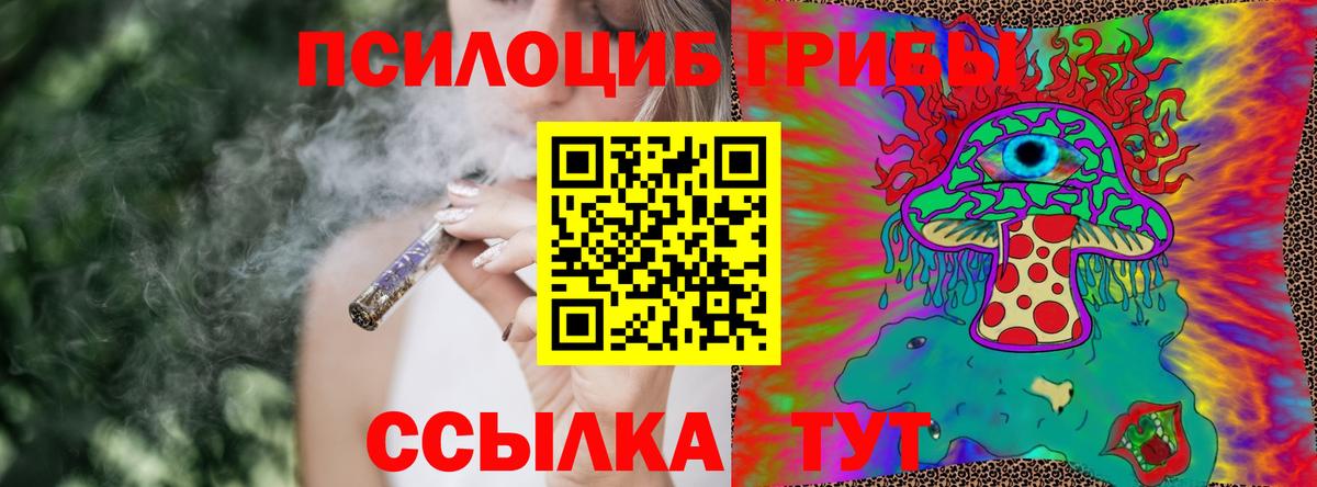 купить наркотики цена  Псилоцибиновые грибы GOLDEN TEACHER  Вход с VPN  Черногорск 